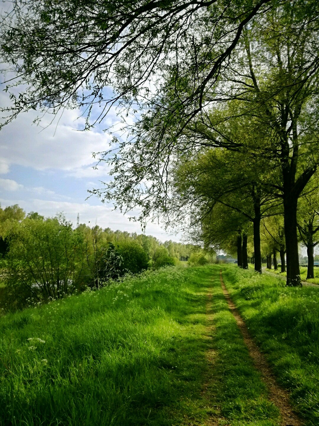 other-great-outdoors