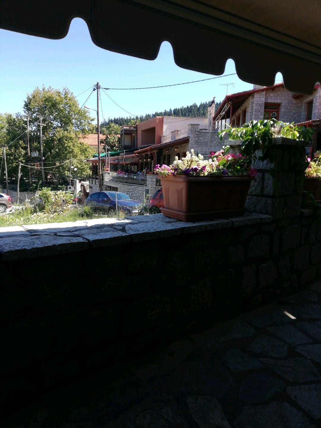 taverna