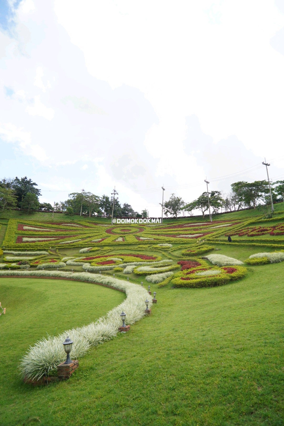 Maesalong Flower Hills Resort (ดอยหมอกดอกไม้ รีสอร์ท)