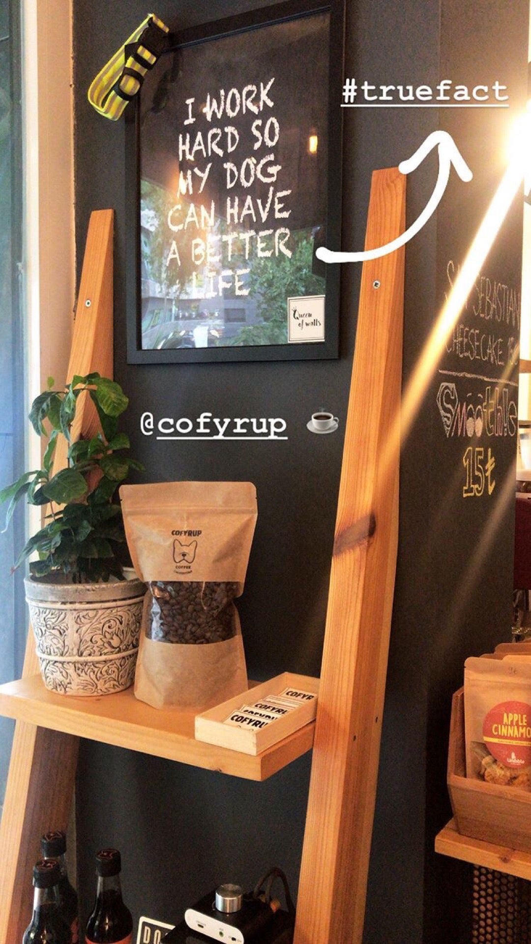 coffee-shop