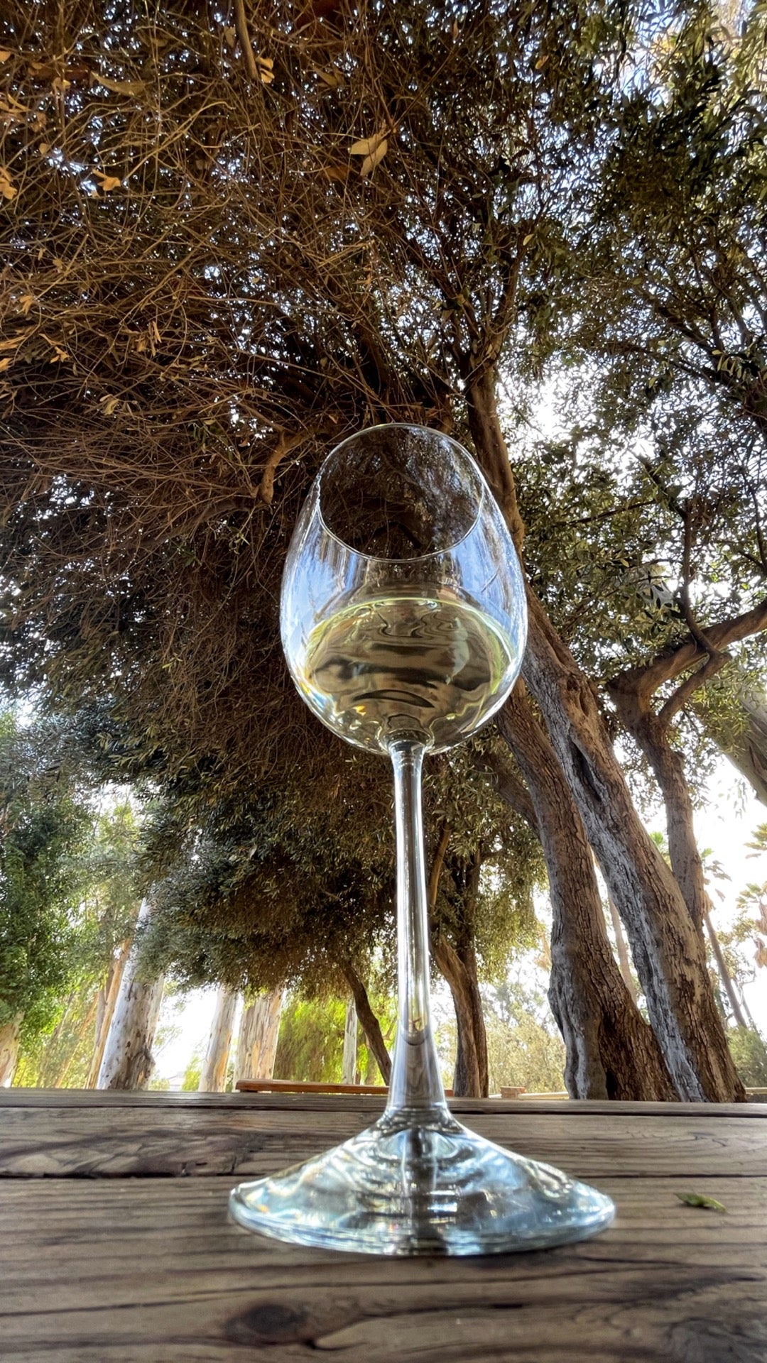 winery