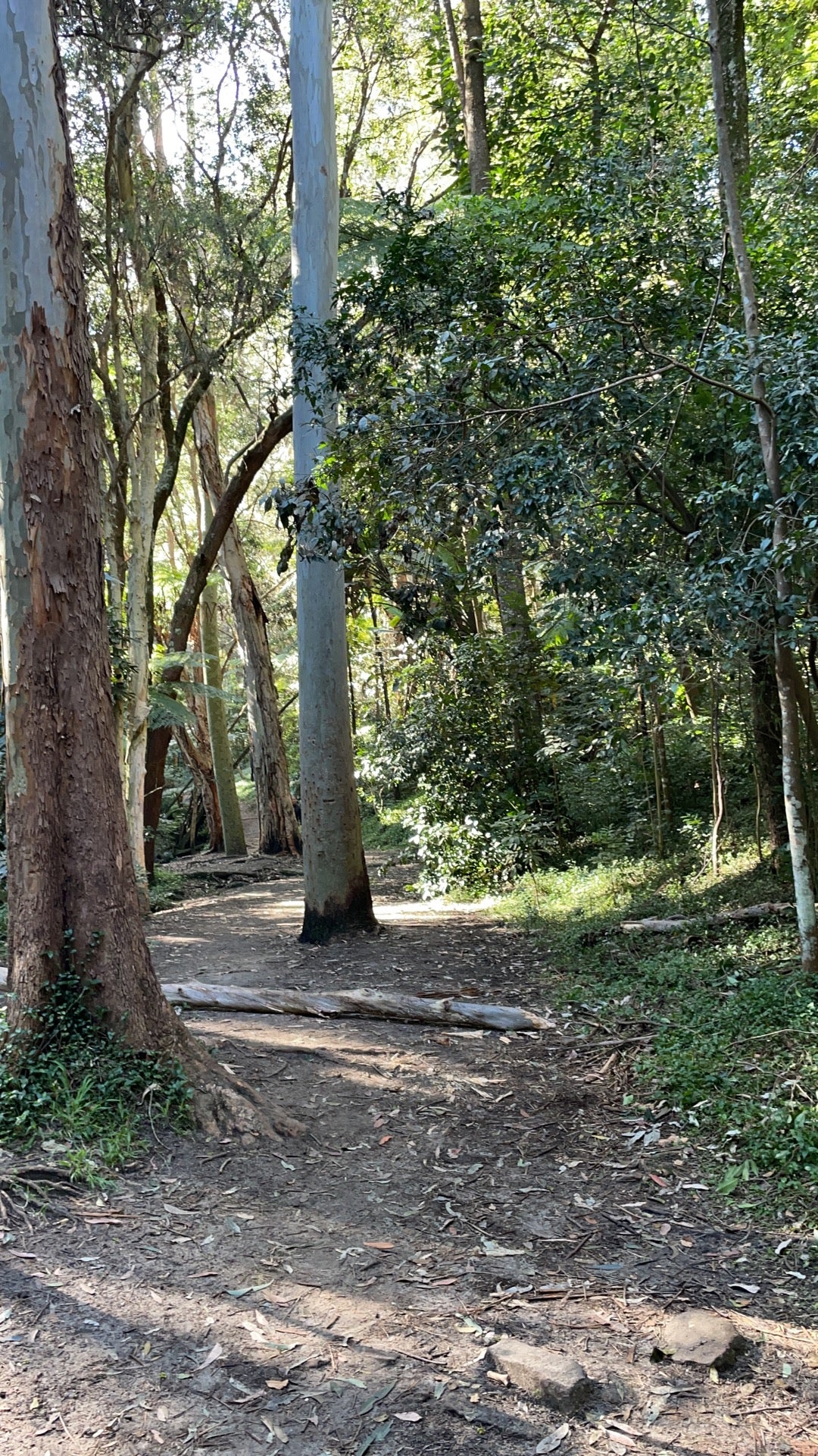 park