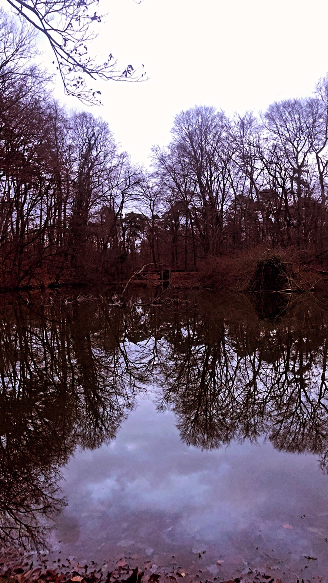 lake