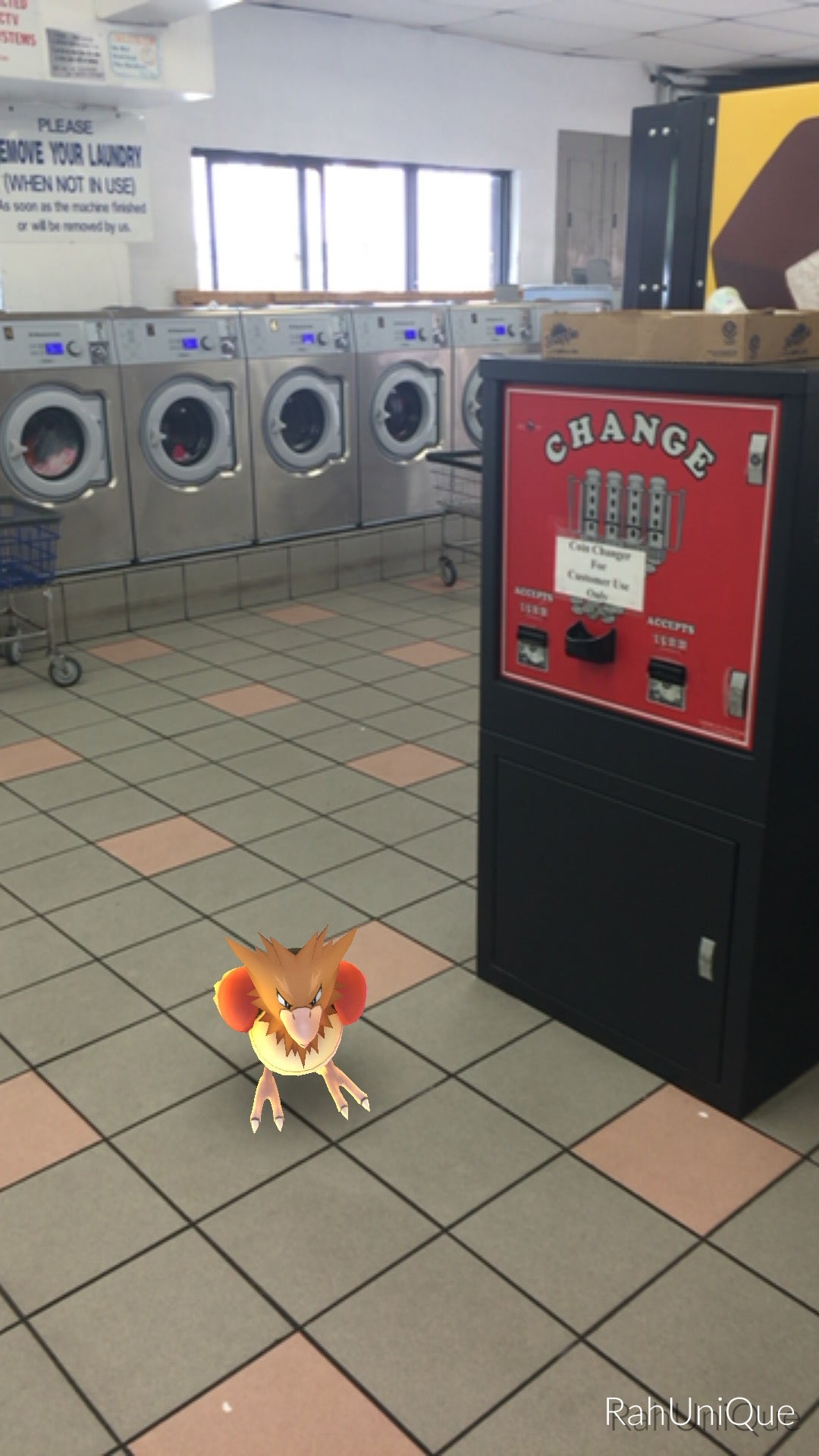 laundry-service