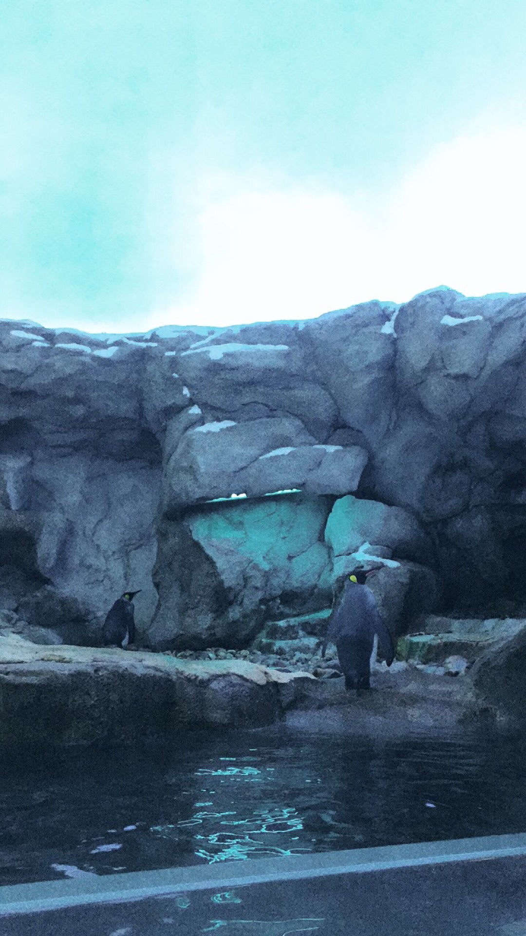 exhibit