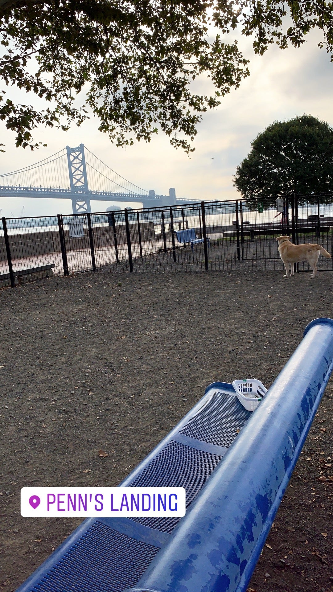 dog-run