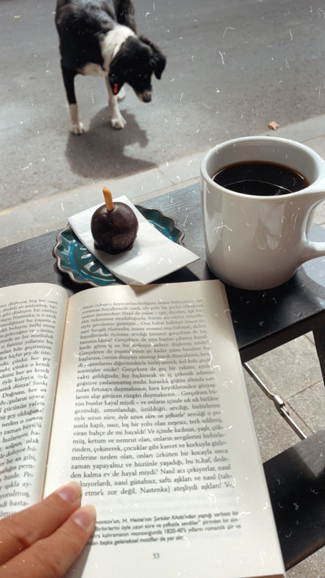 coffee-shop