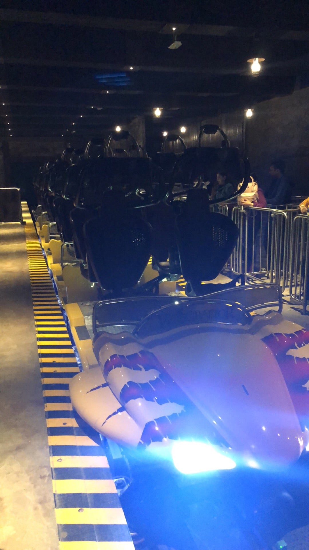 theme-park-ride-attraction
