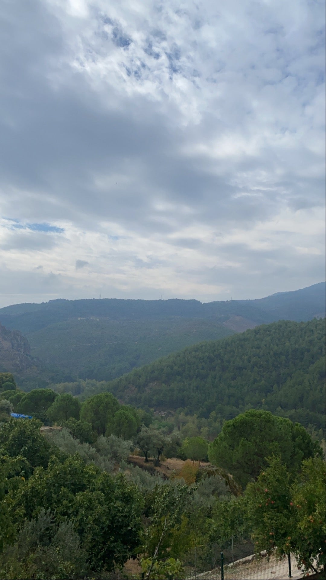 mountain