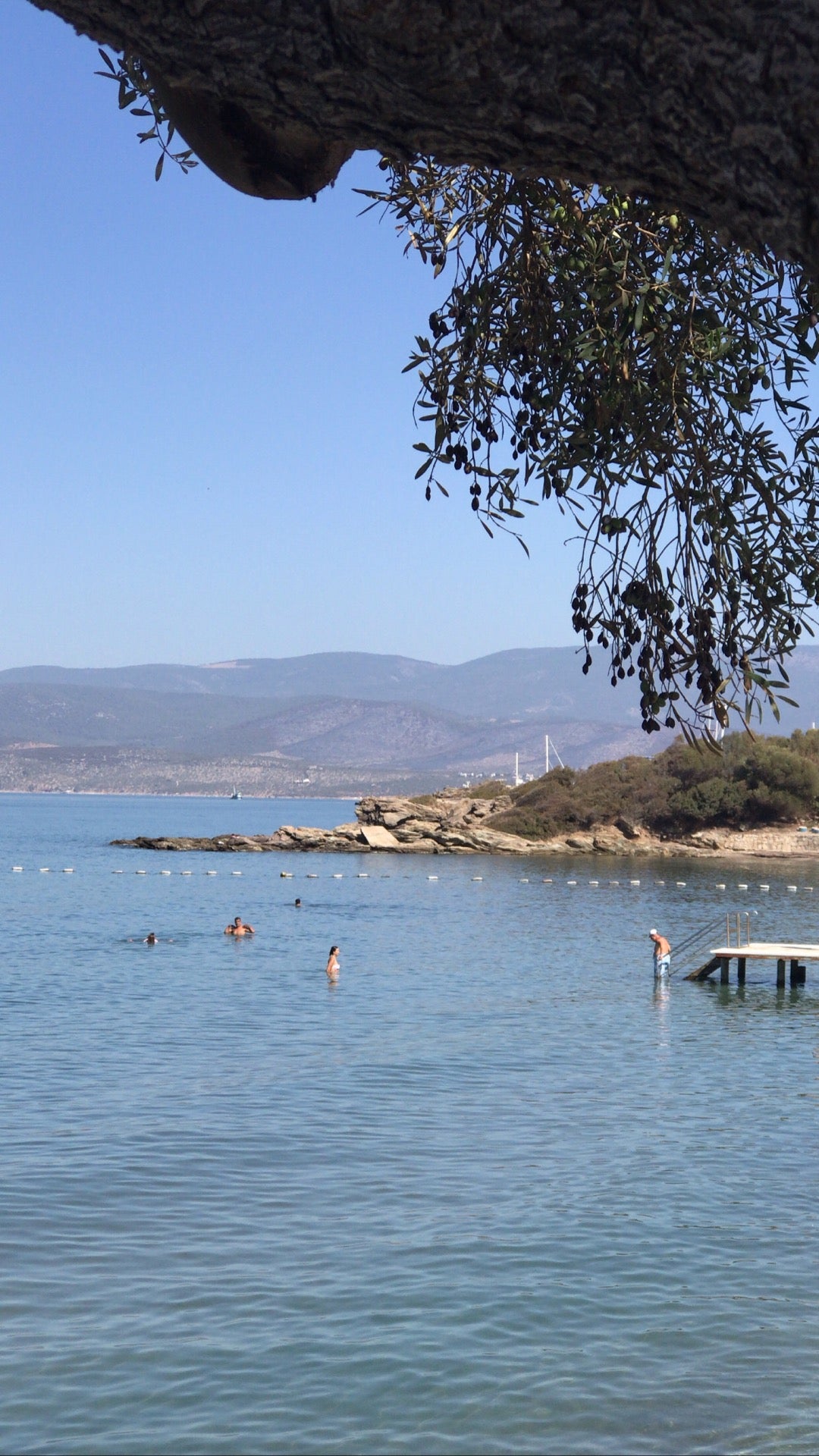 beach