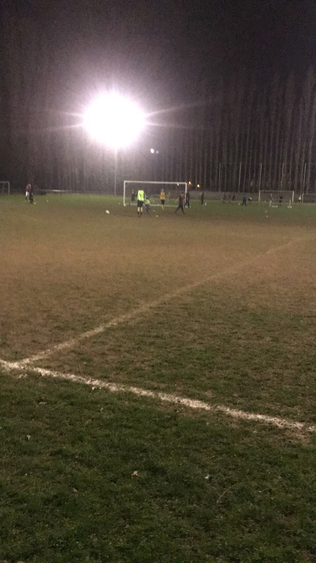 soccer-field