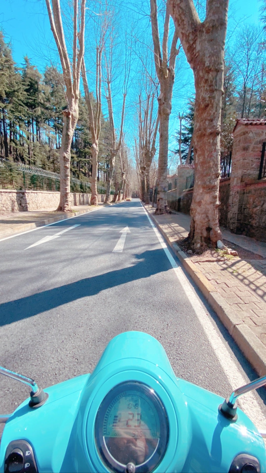 park