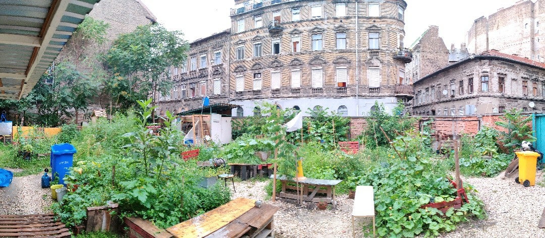garden