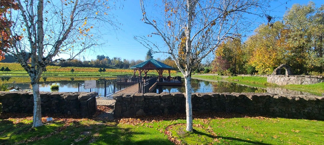 photo of Bethany Vineyard & Winery
