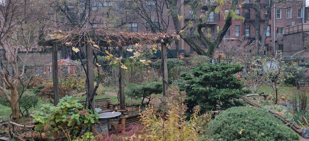 photo of Clinton Community Garden