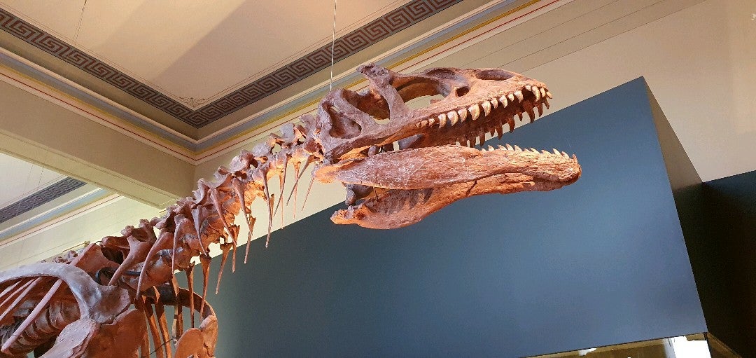 science-museum