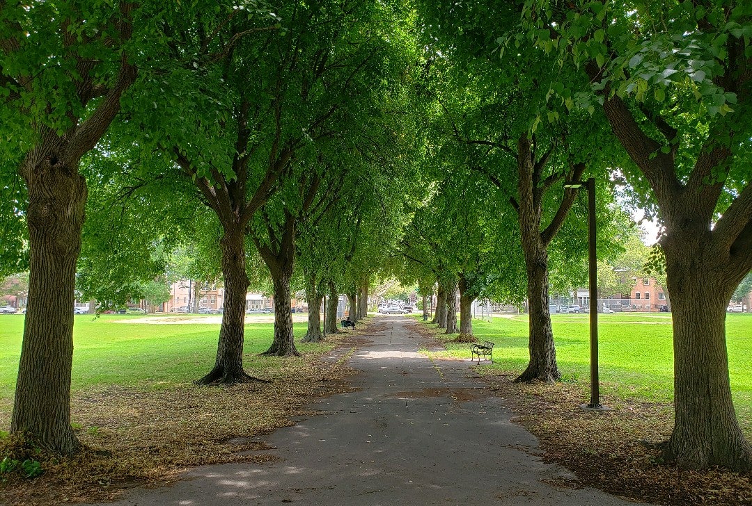 park