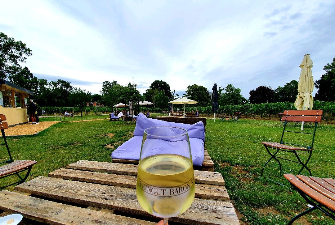 vineyard