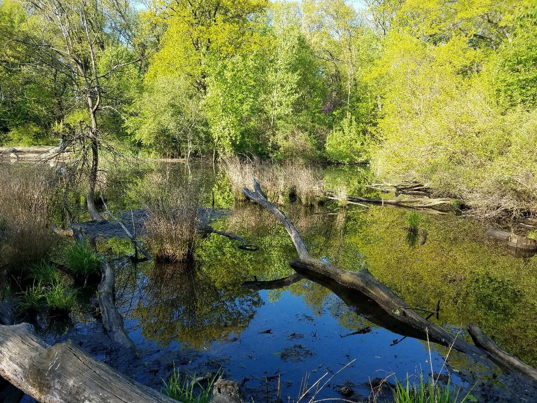 lake
