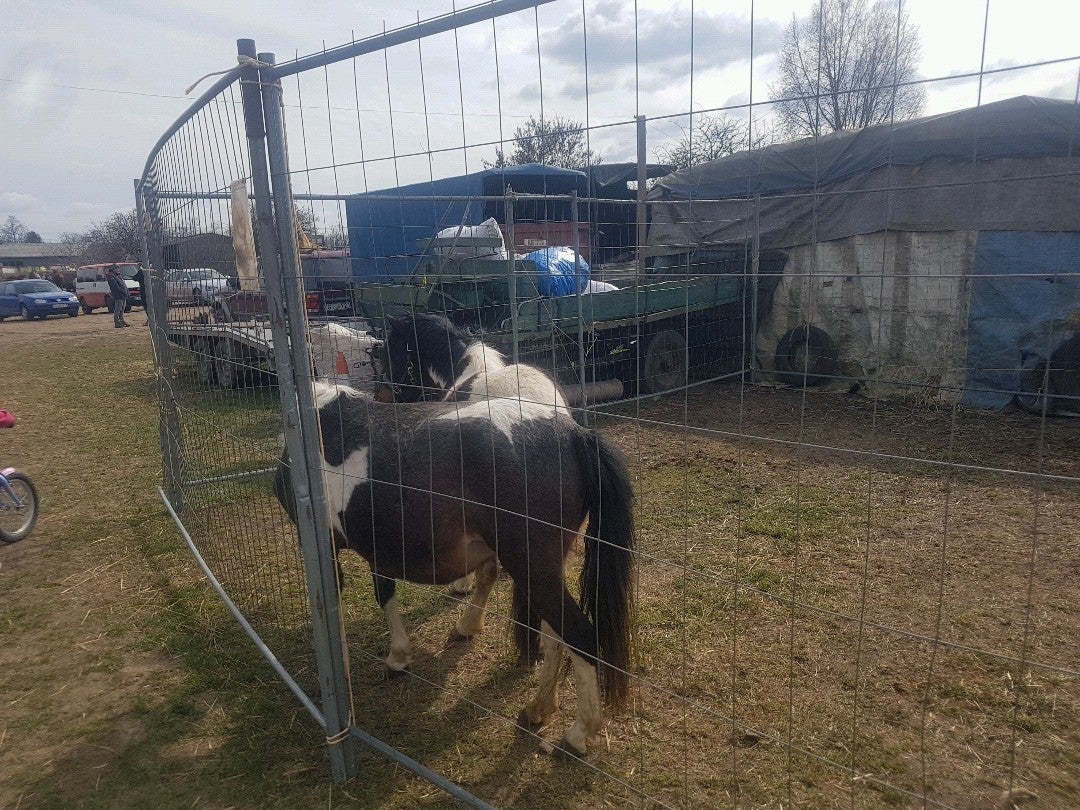 stables