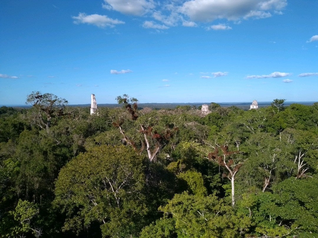 national-park