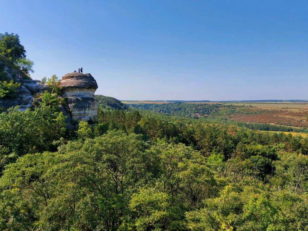 scenic-lookout