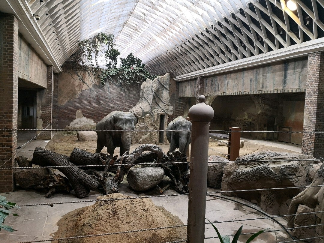 zoo-exhibit