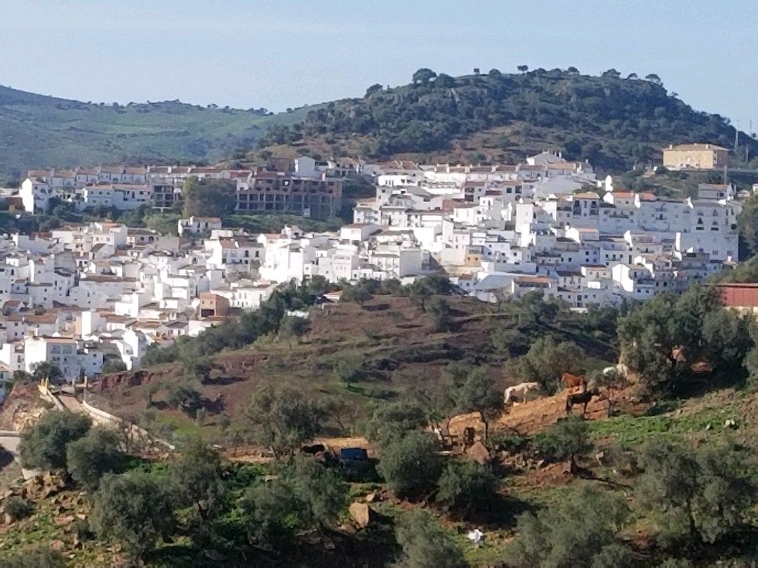 city