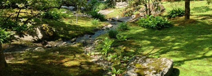 Japanese Gardens - Garden in Capitol Hill