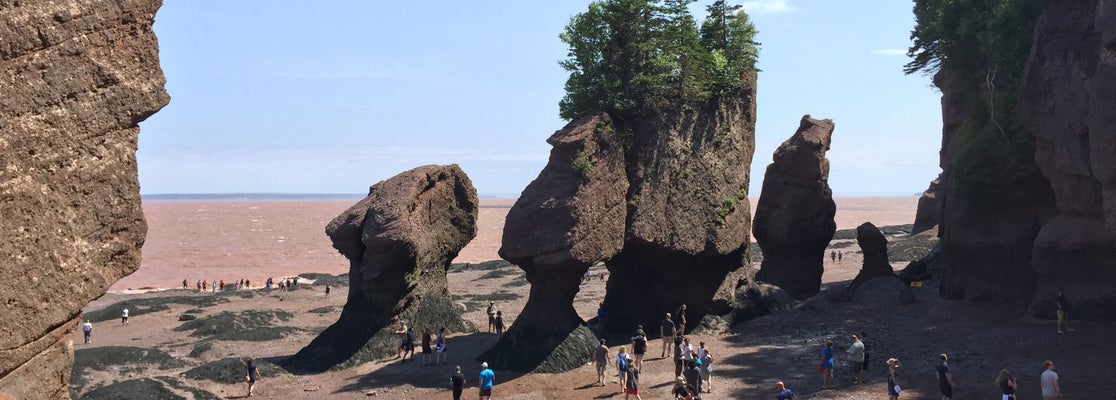 Hopewell Rocks - 131 Discovery Road