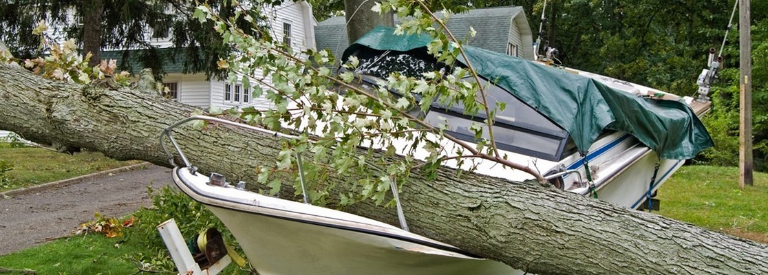 Dallas Mathias Jr. Tree Service Oley, PA