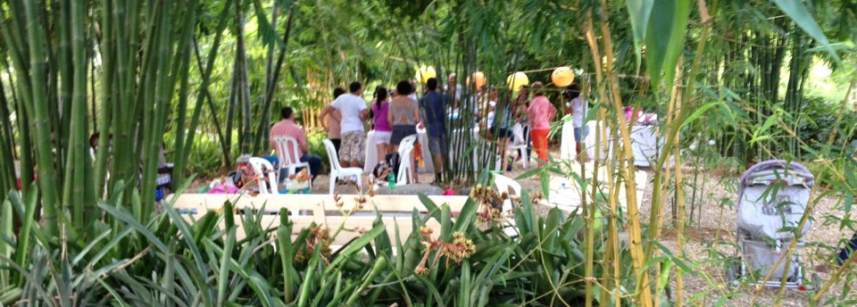 Vivero Super Plants - Garden