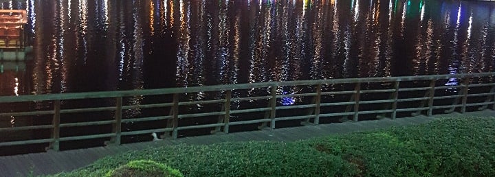 Salıncak Cafe 146 tavsiye