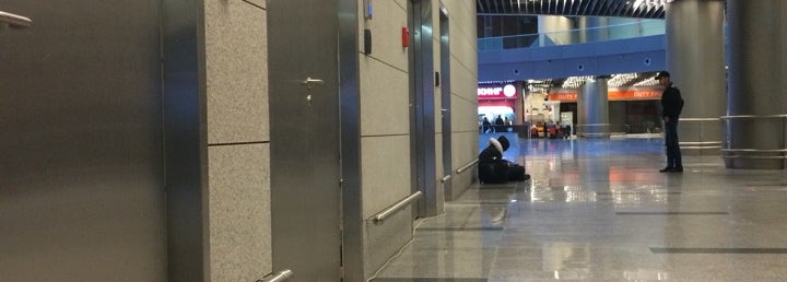 Международный аэропорт Внуково / Vnukovo International Airport (VKO ...