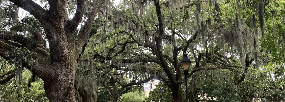 Forsyth Park - Historic District-South - Drayton St