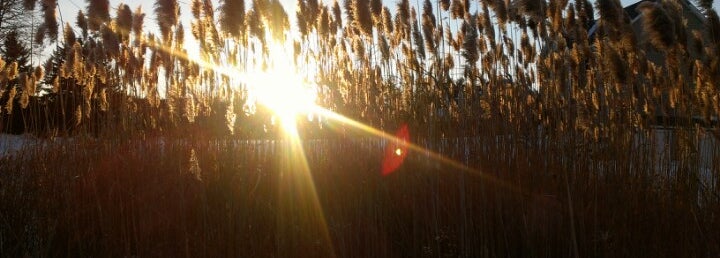 Somersworth Post Office 2 Government Way