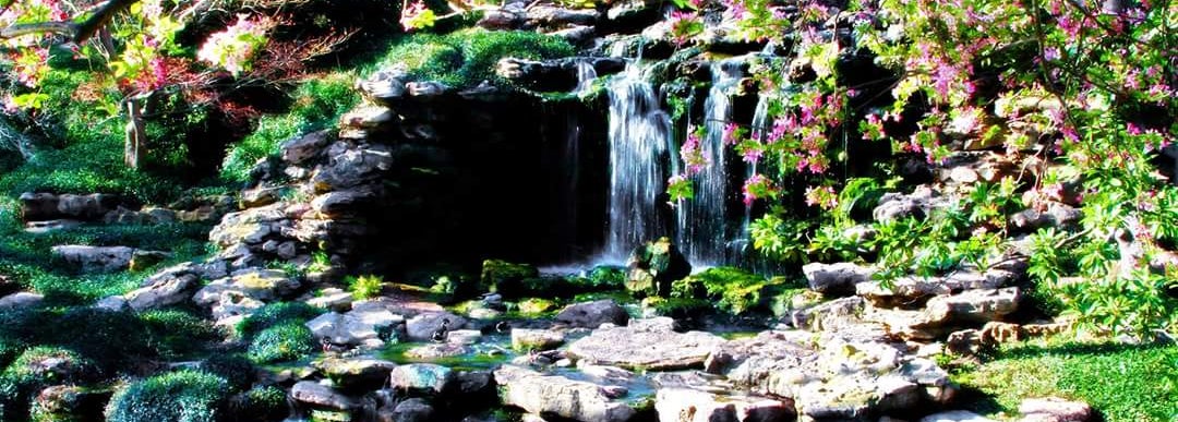 Fort Worth Botanic Garden - Botanical Garden in Fort Worth