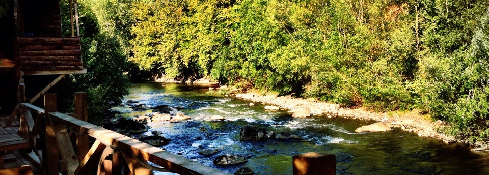 Nehir Evi Rafting Düzce, Cumayeri