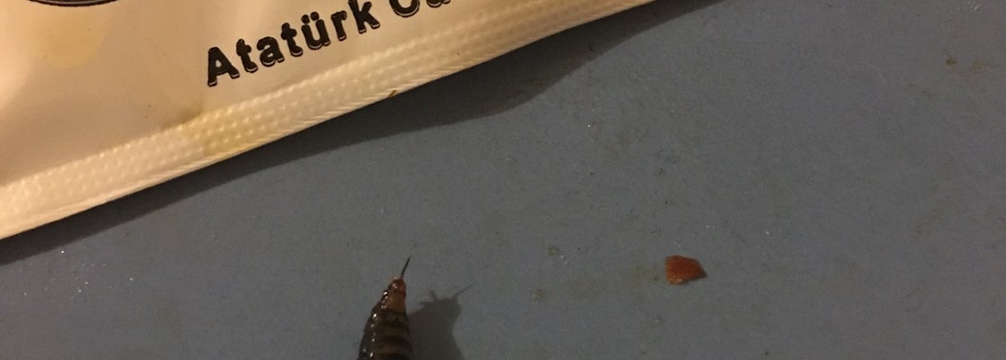 Kıvılcım Et&amp;Mangal (Now Closed) Turkish Restaurant in İstanbul