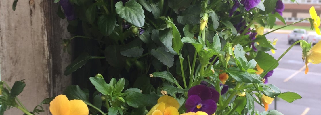 Blooms by Bogner - Flower Shop in New Hartford