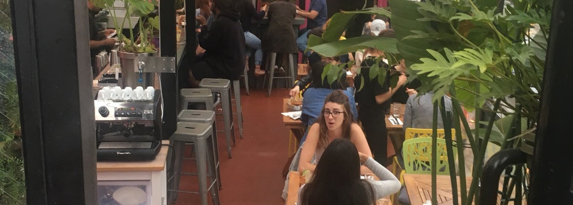 Zona Rosa - Mexican Restaurant in Brooklyn