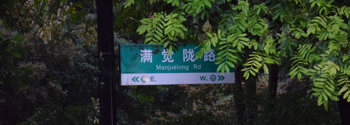 虎跑路与龙井路之间的满觉陇路,是杭州最美的一段山路之一,一到初秋整