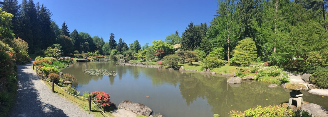 Japanese Gardens - Garden in Capitol Hill