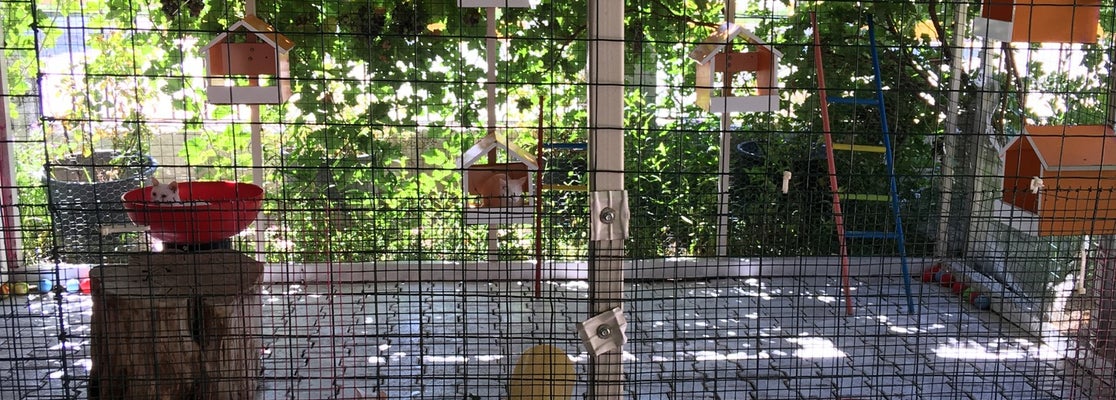 Van Kedi Evi 3552 ziyaretçidan 34 tavsiye
