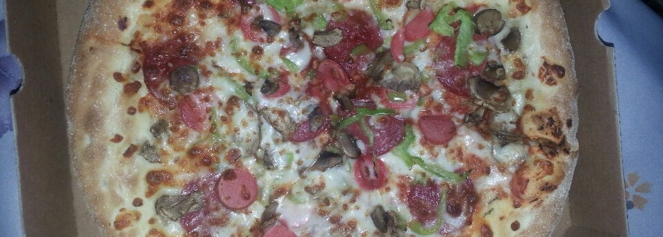 dominos pizza derince