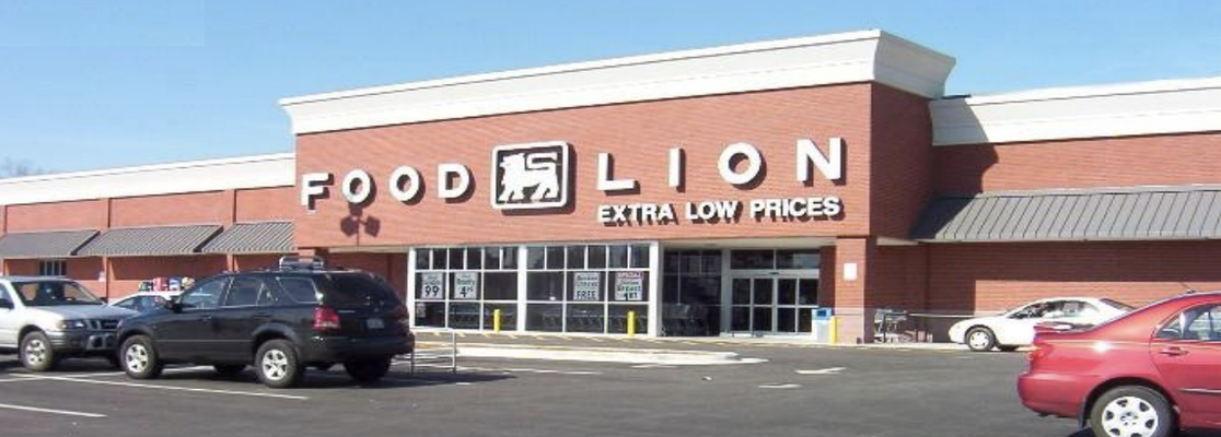food lion newton nc food lion newton nc