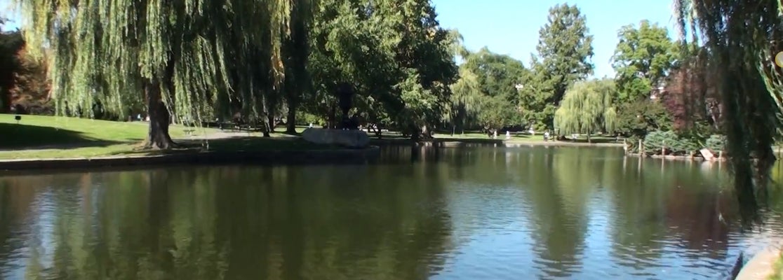 Boston Public Garden - Garden in Boston