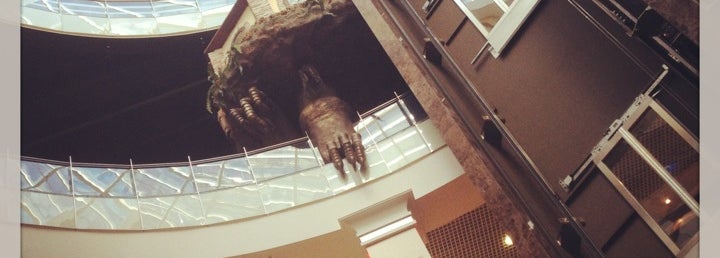 Центр Галереи Чижова Воронеж, Воронежская обл.