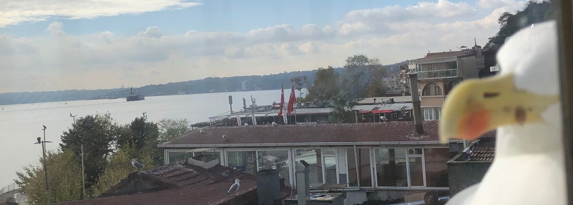 Tarihi Sarıyer Muhallebicisi ve Börekçisi Merkez Sarıyer 419 tavsiye