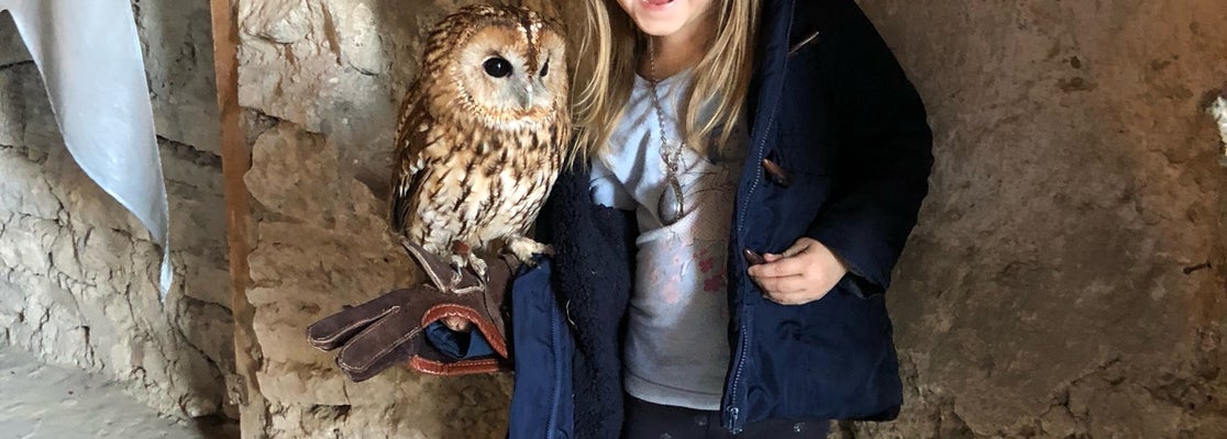 Кам'янець-Подільська фортеця / Kamianets-Podilskyi Castle - Кам'янець